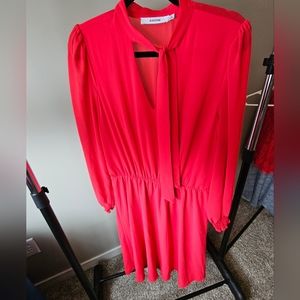 Long Sleeved Sheer Top Dress